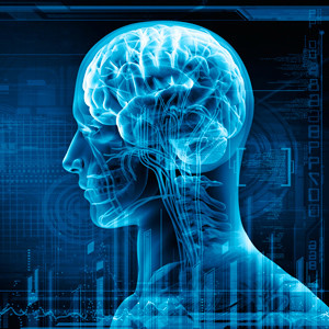 brain_xray_digital_blue