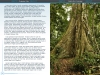 droc_template_full-page-illustration